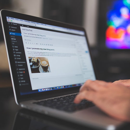world digital agency wordpress